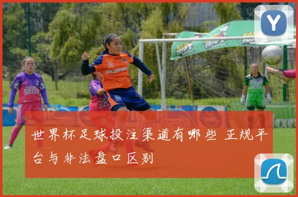 世界杯足球投注渠道有哪些 正规平台与非法盘口区别