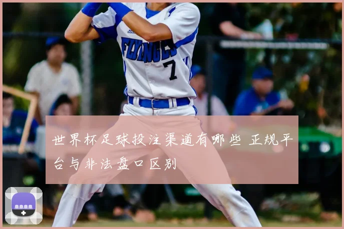 世界杯足球投注渠道有哪些 正规平台与非法盘口区别