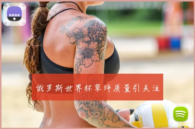 俄罗斯世界杯草坪质量引关注