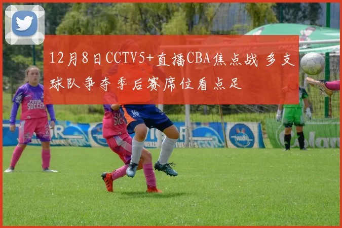 12月8日CCTV5+直播CBA焦点战 多支球队争夺季后赛席位看点足