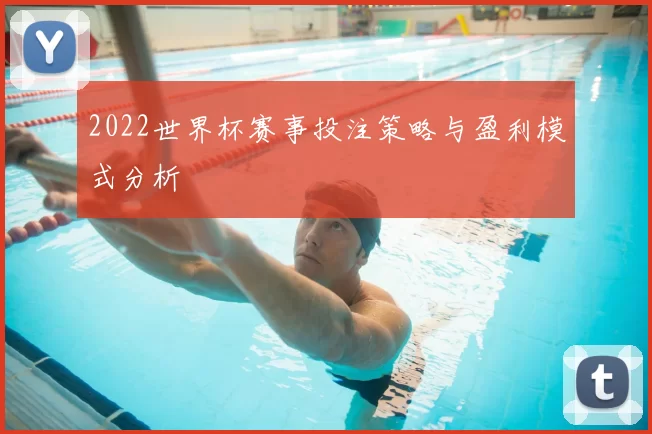 2022世界杯赛事投注策略与盈利模式分析